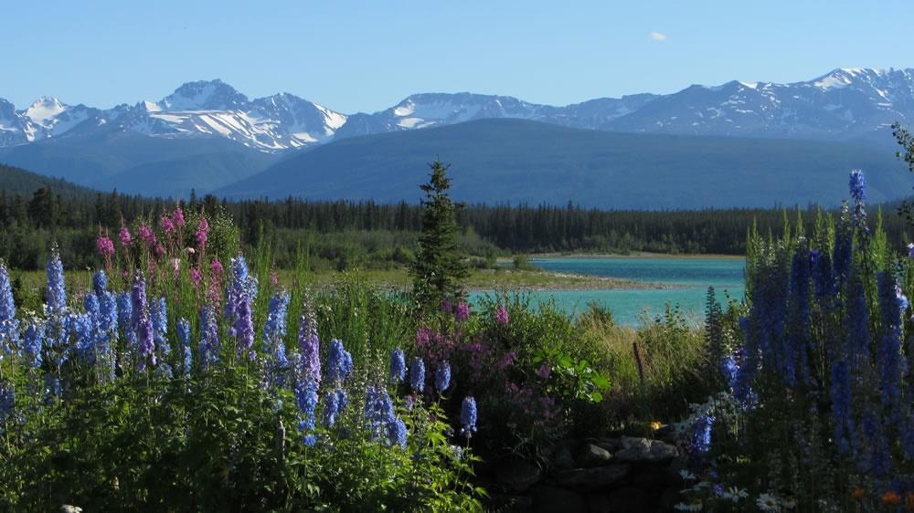 Eagle Bear Lodge Tatla Lake Exterior photo