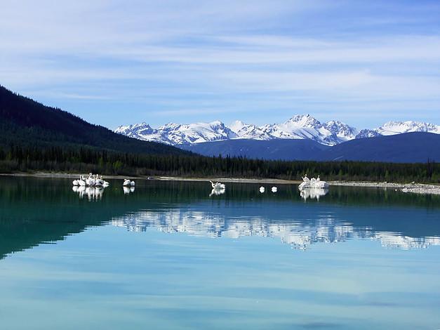 Eagle Bear Lodge Tatla Lake Exterior photo